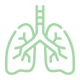 Supports Respiratory Health